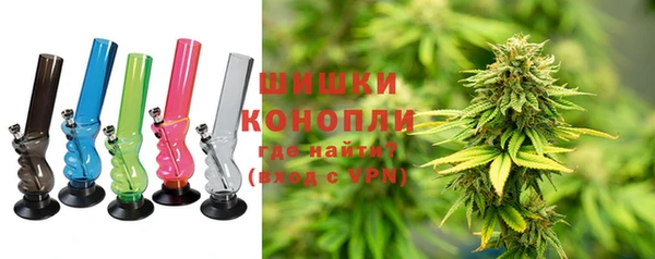 стафф Осинники