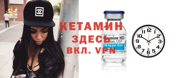 твердый Пересвет