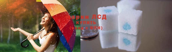стафф Осинники