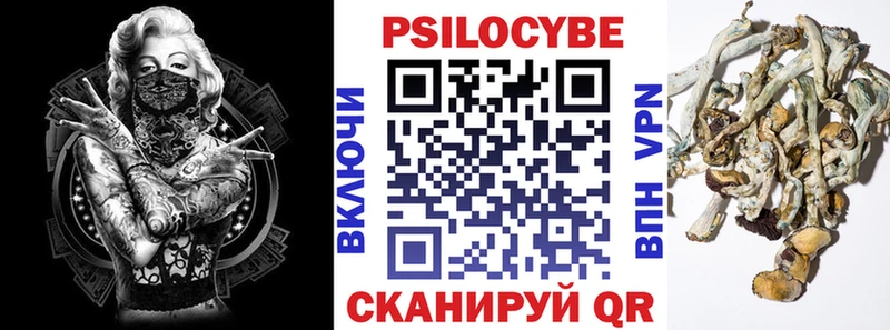 hydra сайт  Усолье-Сибирское  Псилоцибиновые грибы Cubensis  купить закладку 