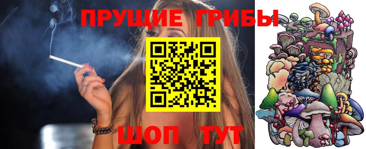 Псилоцибиновые грибы Cubensis  Вход с VPN  Усолье-Сибирское  Псилоцибиновые грибы Cubensis 